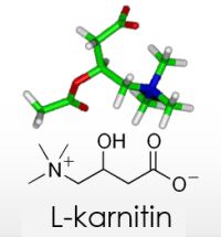 L-karnitin za mršavljenje